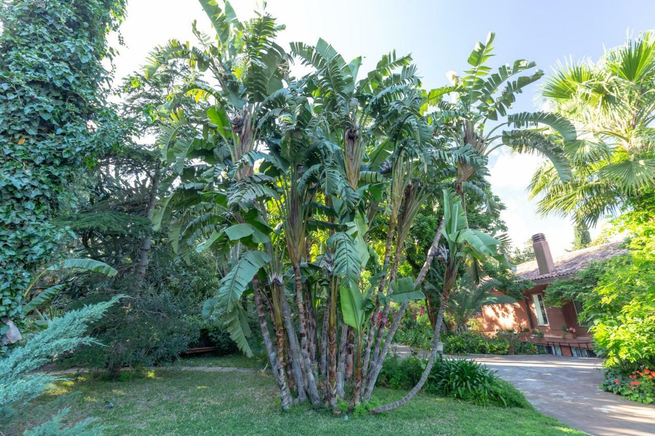 Il Giardino Di Michela By Domusicily Villa Mondello Bagian luar foto